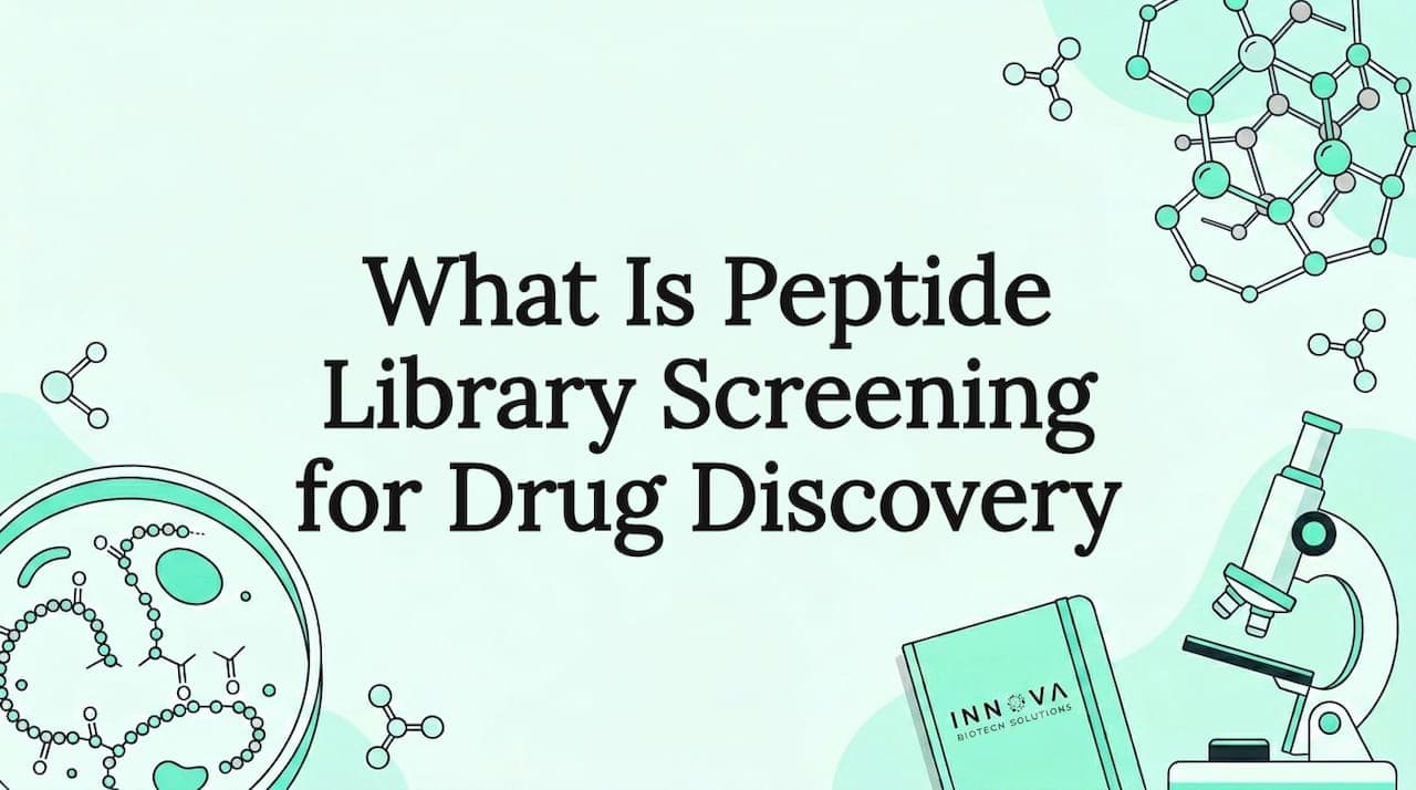 What Is Peptide Library Screening for Drug Discovery