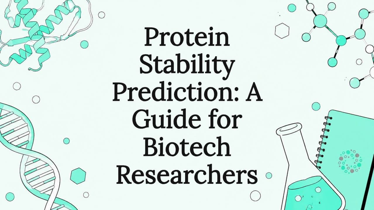Protein Stability Prediction: A Guide for Biotech Researchers