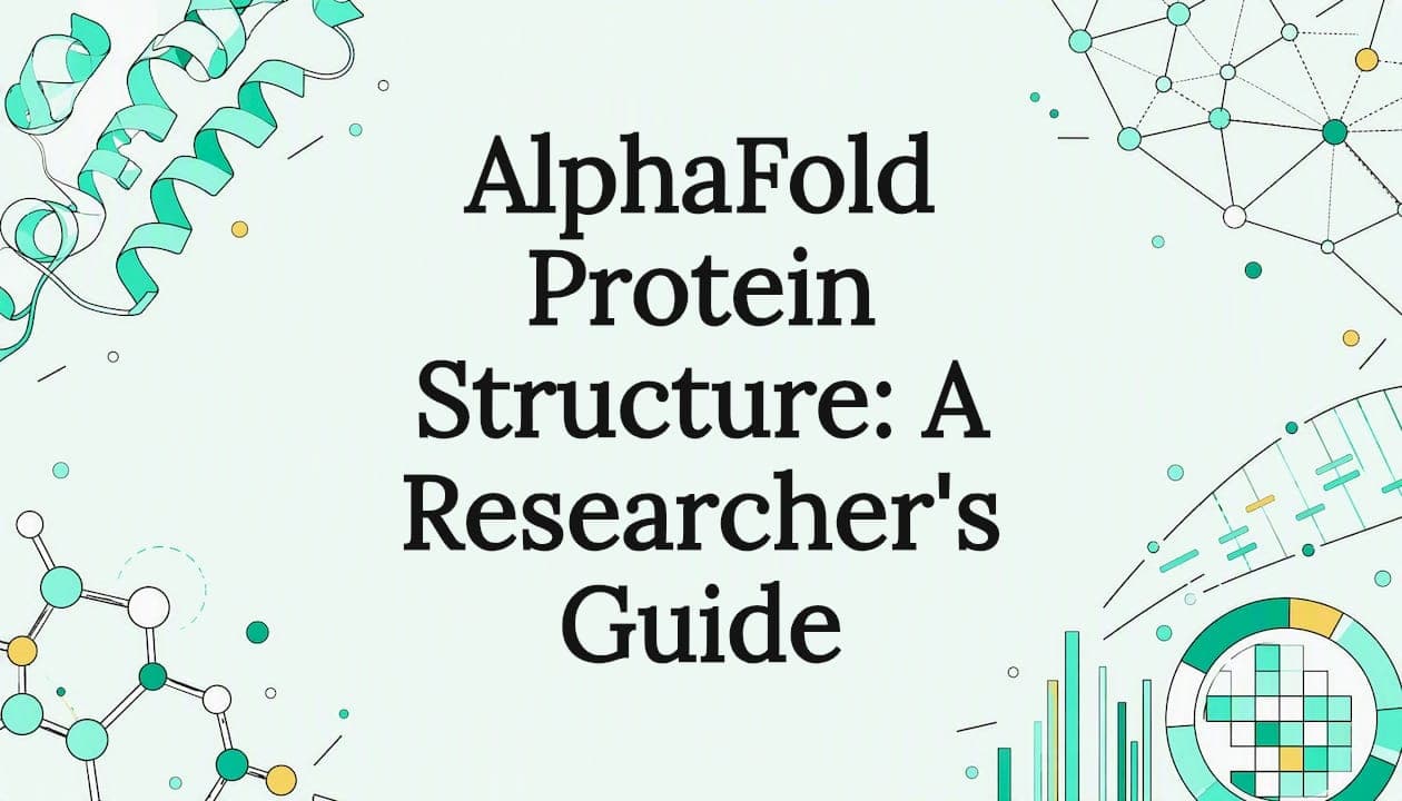 AlphaFold Protein Structure: A Researcher's Guide