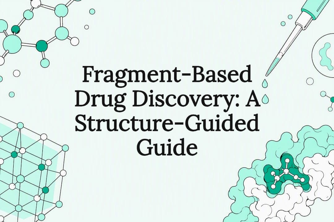 Fragment-Based Drug Discovery: A Structure-Guided Guide