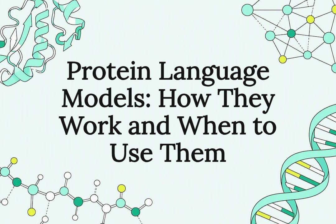 Protein Language Models: How They Work and When to Use Them