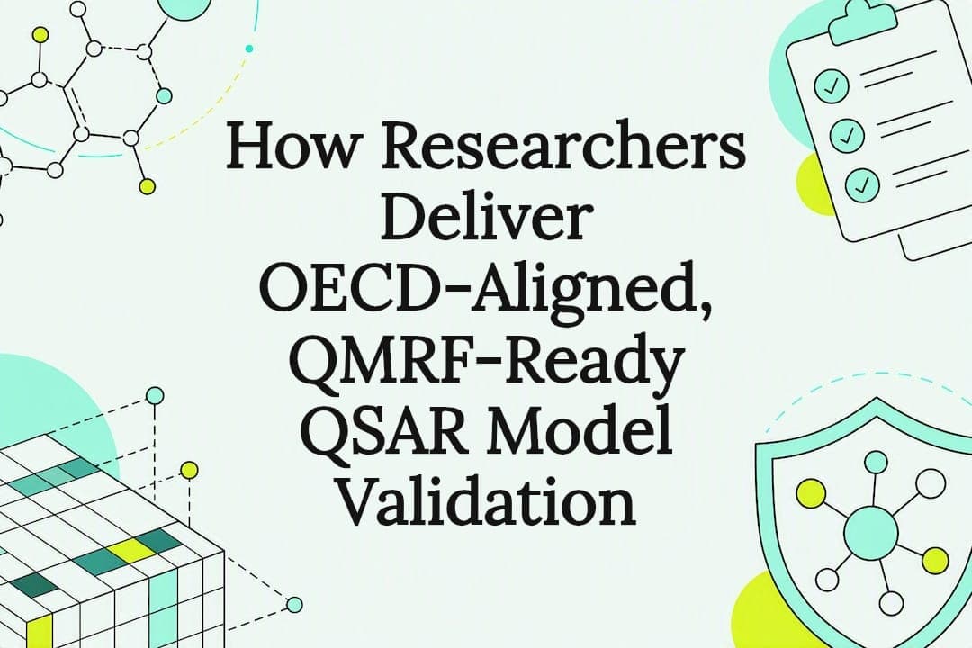 How Researchers Deliver OECD-Aligned, QMRF-Ready QSAR Model Validation