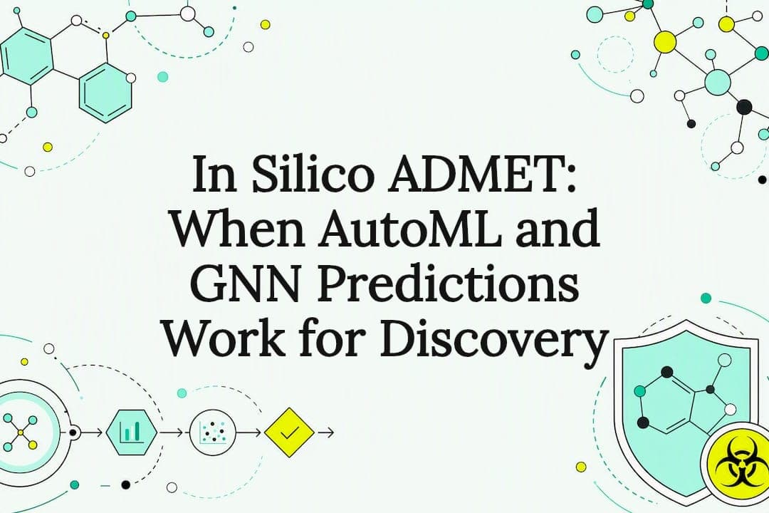 In Silico ADMET: When AutoML and GNN Predictions Work for Discovery